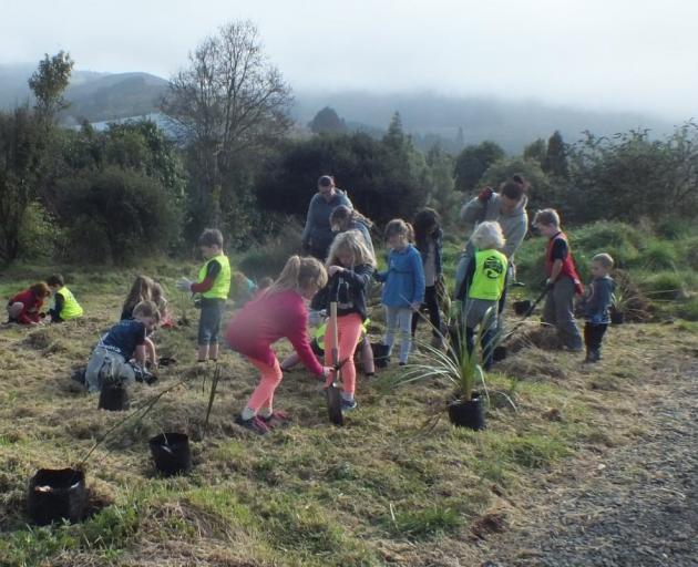 Sawyers Bay School pupils and Student Volunteer Army members get stuck in to riparian planting of...