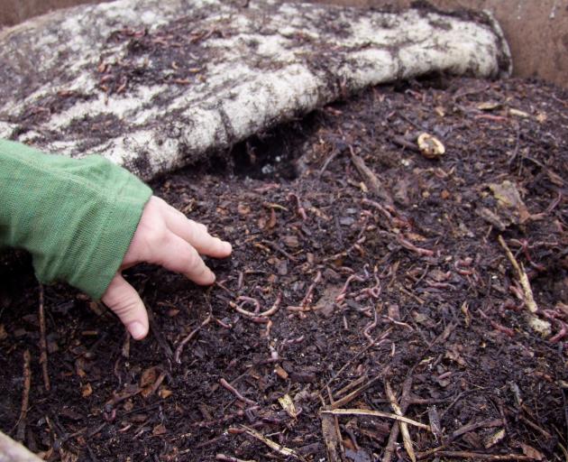 Compost and other garden products should not be handled without gloves.