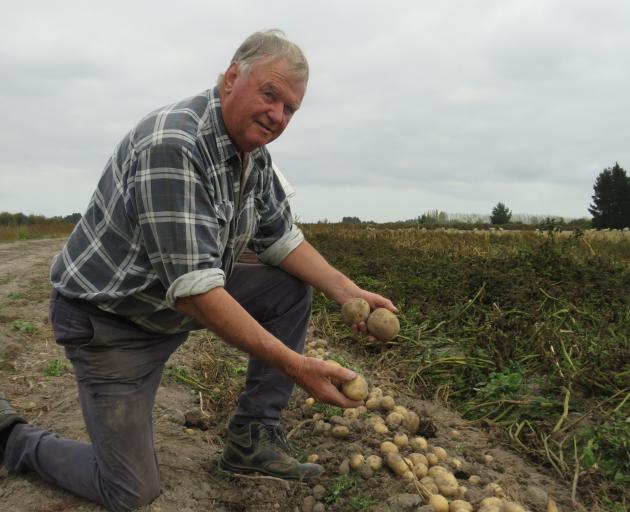 John Withell works in his boutique planting operation on the outskirts of Ashburton. PHOTOS: TONI...