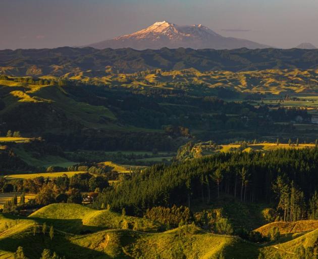 The view towards Ruapehu from Rangiwahia. Photo: Mike Yardley.