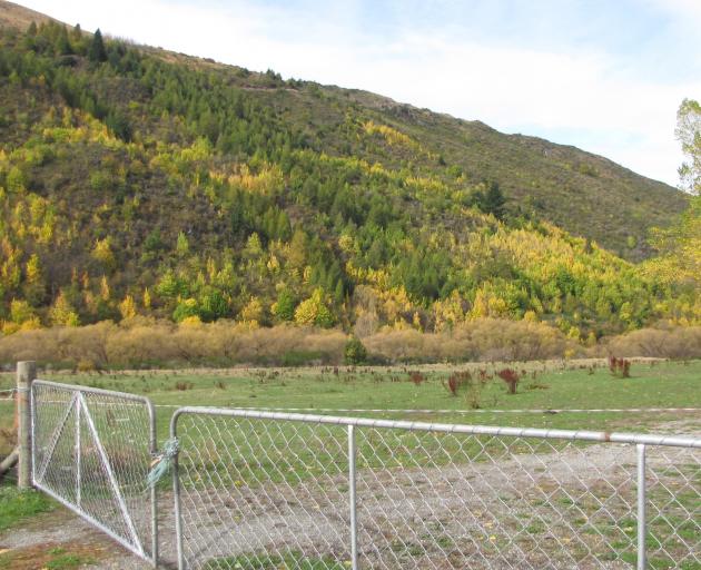 Land on Jopp St, Arrowtown, earmarked for housing. PHOTO: TRACEY ROXBURGH