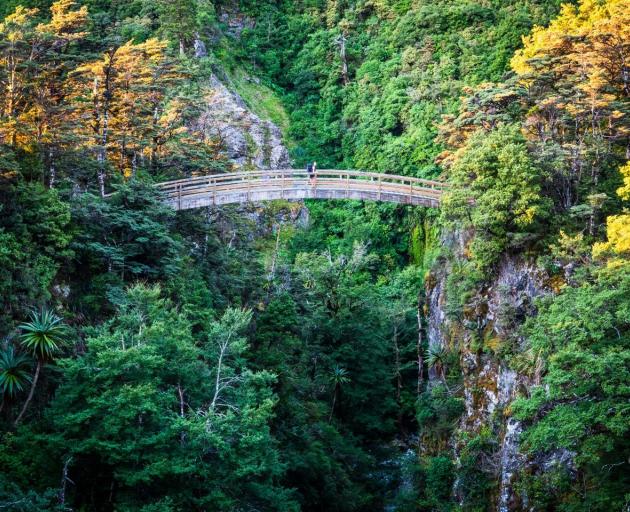 A bridge on the Rangiwahia track. 