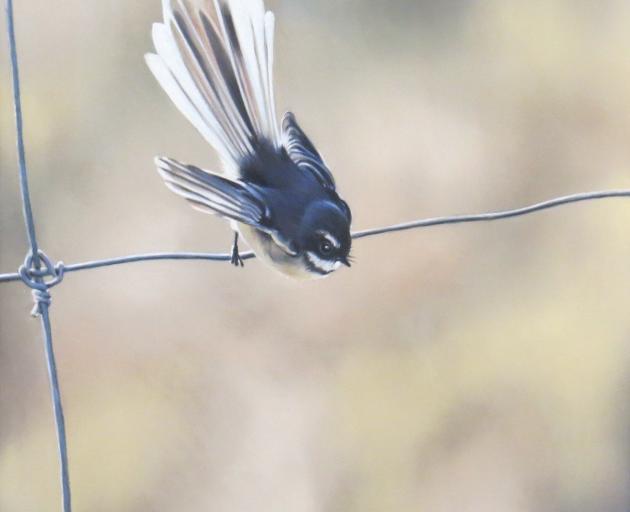 Bird on a Wire, by Tessa Barringer