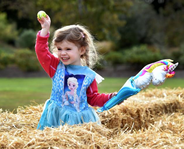 Annabelle Anderson (2), of Dunedin, hunts for Easter egg tokens in hay in the Wal’s Plant Land...