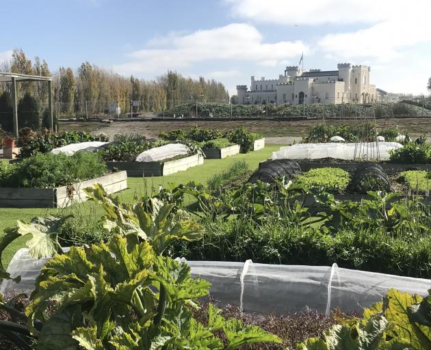 Raised beds at Riverstone Kitchen, with Dot’s Castle in the background. PHOTOS: GILLIAN VINE