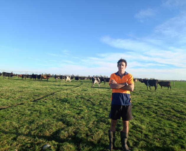 Mattes Groenendijk has had a busy first season as a farm assistant working for Ngai Tahu Farms,...