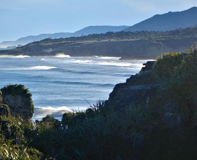 The West Coast of the South Island. Photo: RNZ