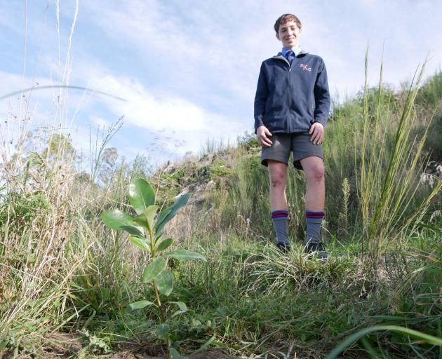 St Kevin’s College year 11 pupil Thomas Linares (16) is one of many pupils planting trees as part...