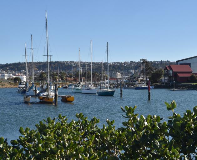 The Otago Yacht Club has submitted to the DCC that there should be a much larger marina at their...