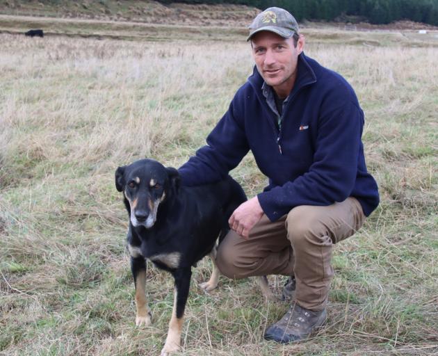 Greenvale Dog Trial Club member Brendon Stewart and his huntaway Dusty get ready to compete on...