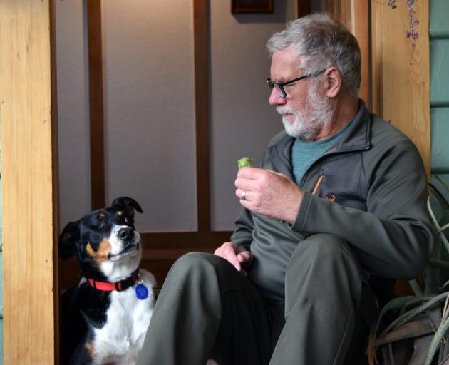 So far, Wink had been able to find every weed he had been asked to. PHOTO: SHAWN MCAVINUE