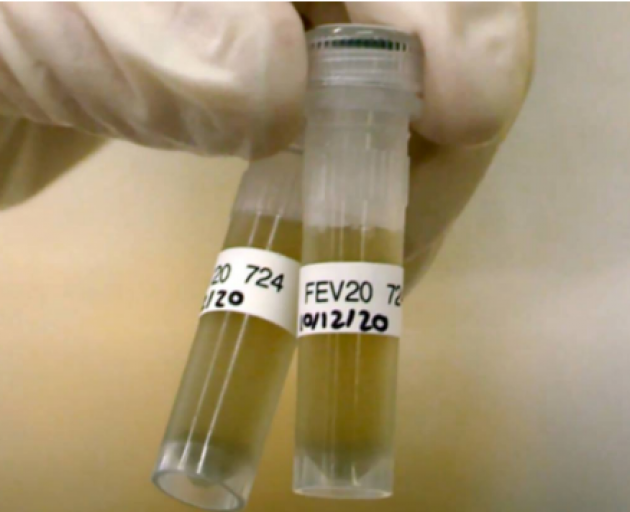 Sampling of city wastewater plants for traces of the virus has been carried out in New Zealand...