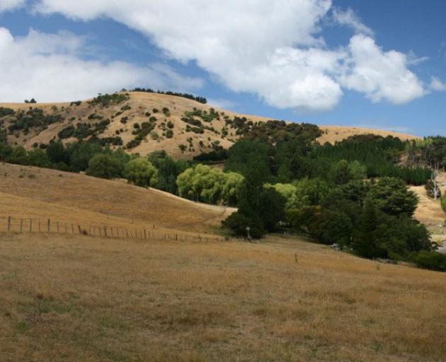 Takapūneke Reserve. Photo: Newsline