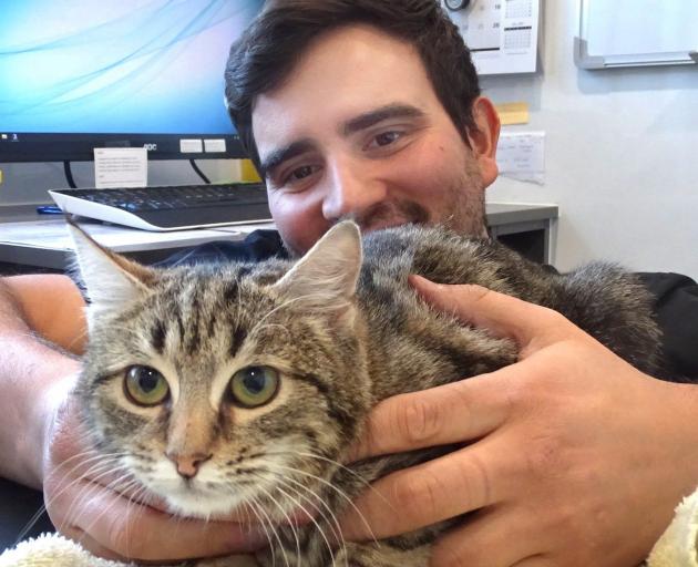 Vetlife Wanaka vet John Neskudla holds rescue kitten Fire earlier this month. PHOTO: KERRIE...