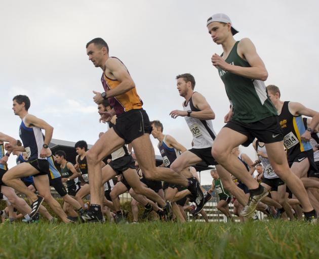 Runners leave the start line in the Edmond Cup at the Wingatui Racecourse on Saturday. PHOTO:...