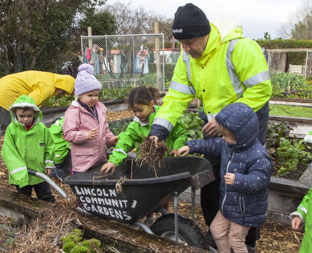 Lincoln Community Garden volunteer Errol Wood helps the children spread pea straw on their plot....