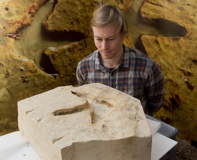 Otago Museum curator natural science Kane Fleury examines a Kyeburn moa footprint. PHOTO: GERARD...
