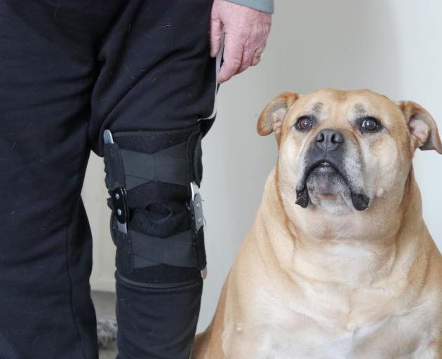 Living in Oamaru with his wife and dog, retired canine instructor Alan Walker is tired of people...