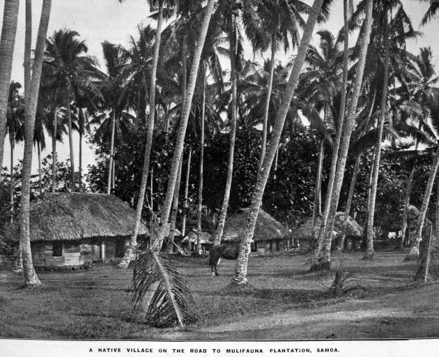 A native village on the road to Mulifauna Plantation, Samoa. — Otago Witness,12.7.1921. 

