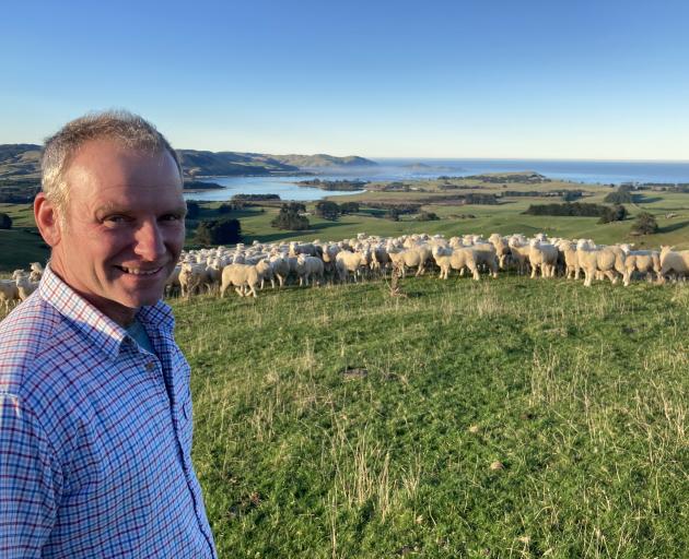 Karl Burgess with his Romney-cross flock in the Catlins.