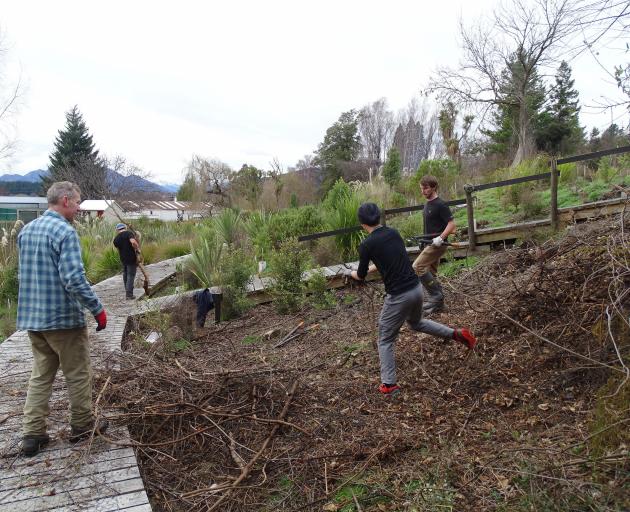 Lifting and clearing bush at Wanaka’s Bullock Creek Hatchery Springs yesterday are (from left)...
