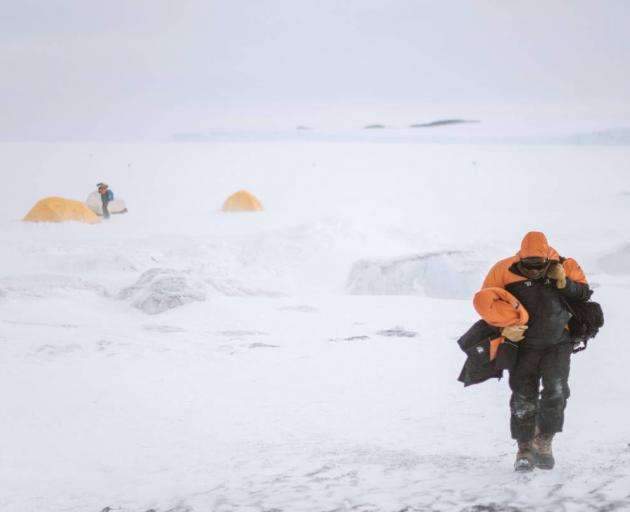 The icy continent has endured some near record-breaking temperatures this week, with Dome Fuji...