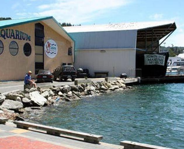 Picton's EcoWorld Aquarium and Wildlife Rehabilitation centre will be closing following failed...