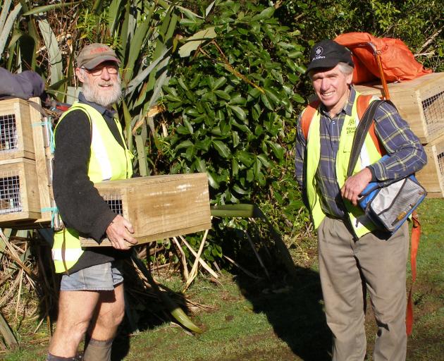 South Otago Forest & Bird volunteers Roy Johnstone (left) and Jim Young prepare to lay further...