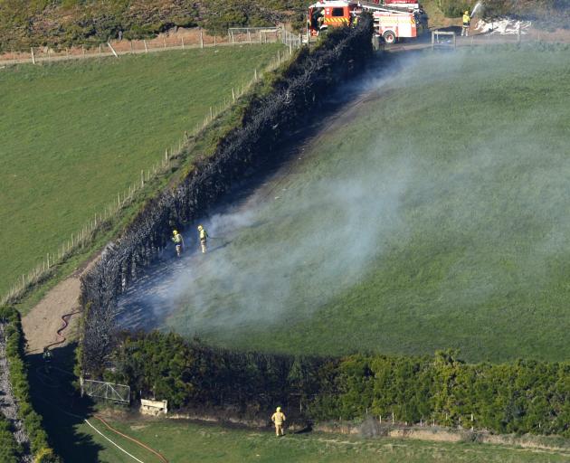 Firefighters extinguish a hedge fire near Upper Junction this morning. Photo: Gerard O'Brien