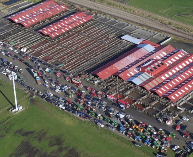 Tractors and utes gather at the Invercargill saleyards. PHOTO: MATTHEW ROSENBERG