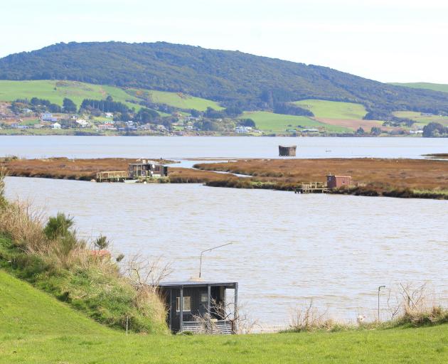 There are around 660 whitebait stands in Southland, several on the Aparima River.