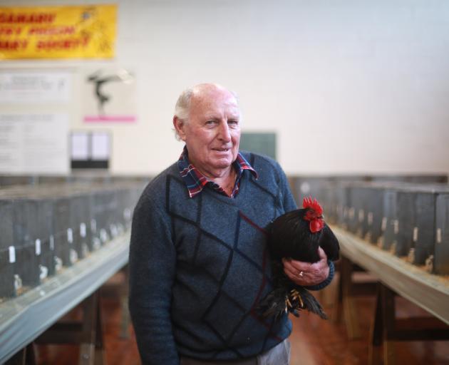 Malcolm Mather holds a Pekin bantam he has entered in the Oamaru Poultry, Pigeon and Canary...