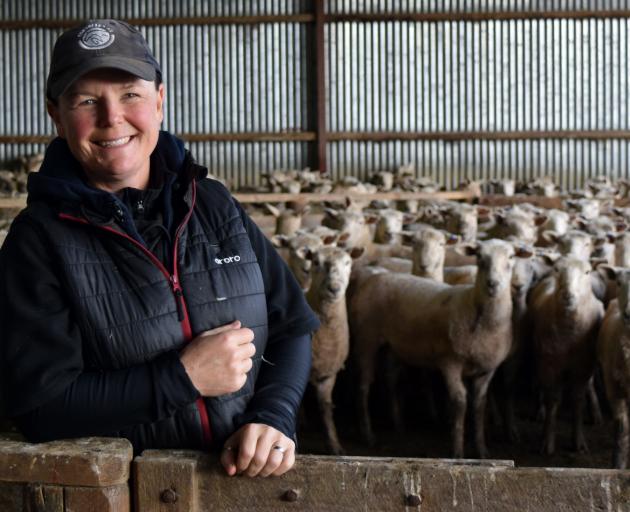 Wilkinson Animal Health Services director Sophie Wilkinson, of Taupo, prepares ewes for pregnancy...