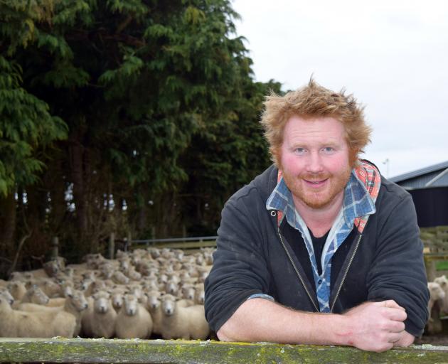 Will Orpwood Cattle & Sheep Scanning owner Will Orpwood takes a break from scanning ewes on a...