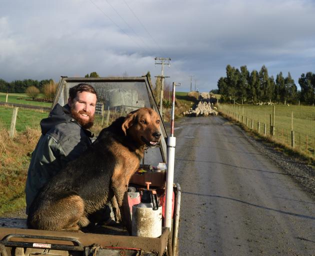 Federated Farmers Otago meat and wool chairman Logan Wallace prepares ewes for pregnancy scanning...