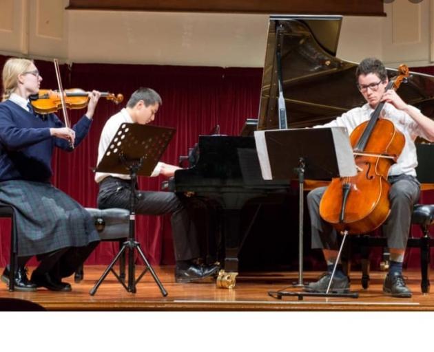 Chamber music trio Eccentrioties, (from left) Skyla Murray (15, violin), Alexander Sun (15, piano...