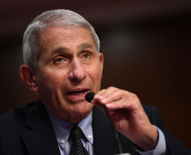 Anthony Fauci. Photo: Getty Images
