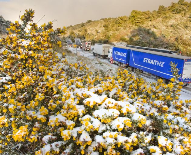 Trucks queue up at the Leith Saddle of Dunedin’s Northern Motorway after snow and ice made the...