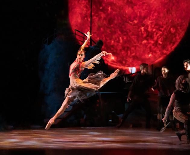 Ana Gallardo Lobaina performs as the Firebird in the Royal New Zealand Ballet production of the...