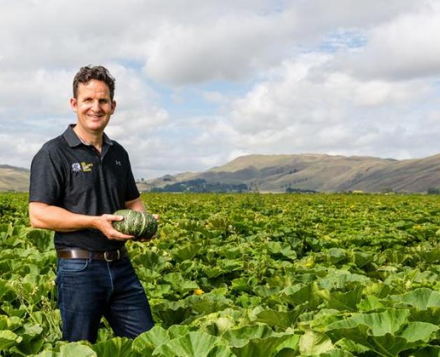 Hawke's Bay buttercup squash grower Shane Newman. Photo: Supplied / MPI