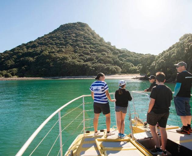 Moutohora/Whale Island, a pest-free sanctuary home to rare and endangered plants, bird and reptiles.