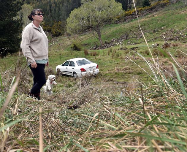 Nicki Powell, of Mosgiel, with dog Lily, surveys the damage after a car crashed into her property...