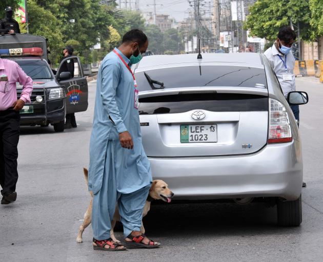 A bomb sniffing dog checks vehicles in Rawalpindi before the ODI between New Zealand and Pakistan...