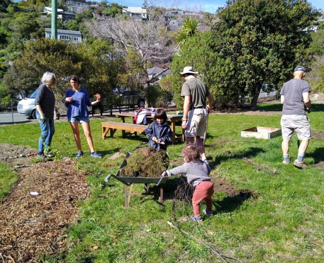 The land on Richmond Hill will soon be covered in raspberries, strawberries and blueberries....