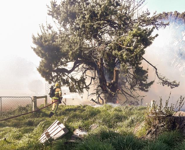 Firefighters race to put out a fire in a tree line in Tosswill Rd, Prebbleton, on Saturday...