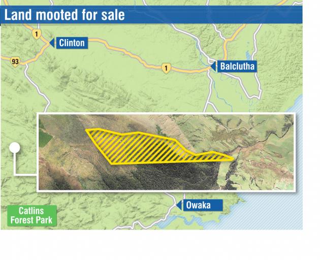 The Otago Regional Council is considering the sale of 50ha of surplus forest and shrubland, once...