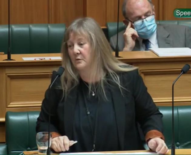 Invercargill National MP Penny Simmonds speaks on the Water Services Bill in Parliament on...