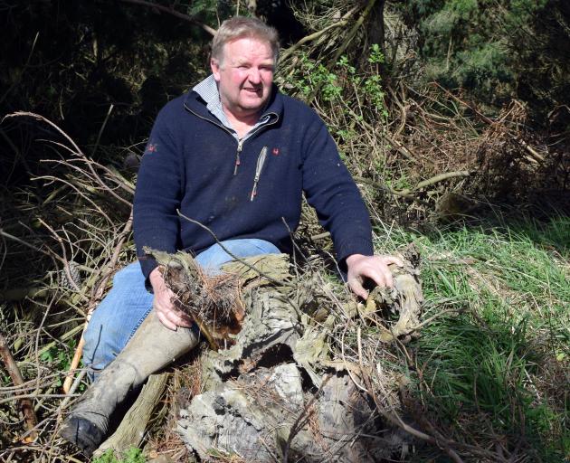 Sheep and beef farmer Stephen Jack sits among fallen trees and branches in a forestry block in...