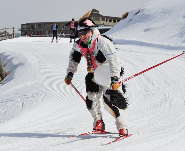 Steve Gurney tears around the Snow Farm in the Merino Muster celebration on Saturday. PHOTO:...