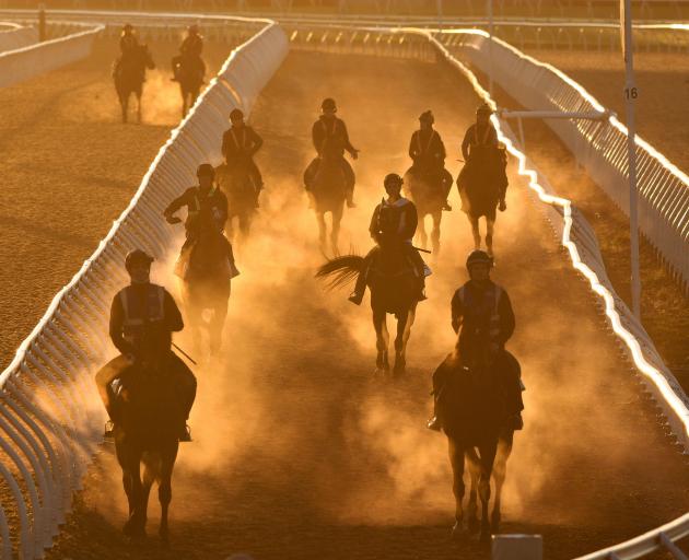 Gallopers come to the end of a trackwork session at Flemington Racecourse before the first day of...